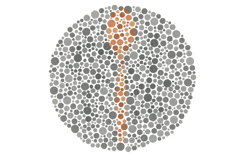 An Ishihara test with a hidden spoon