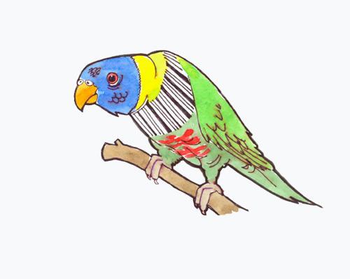 A picture of a parrot