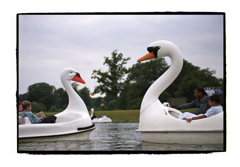 Pedal boats in the shape of swans, Woburn, England, 2007