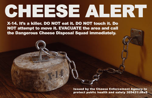 Free cheese wallpaper