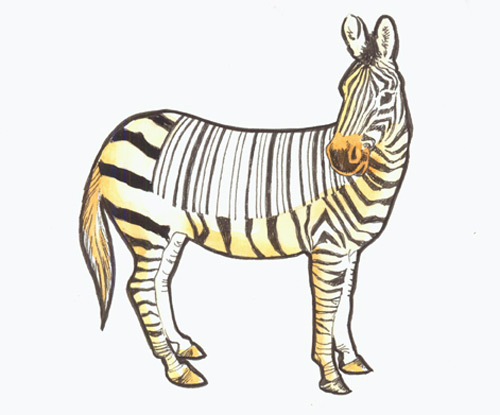 A picture of a Zebra