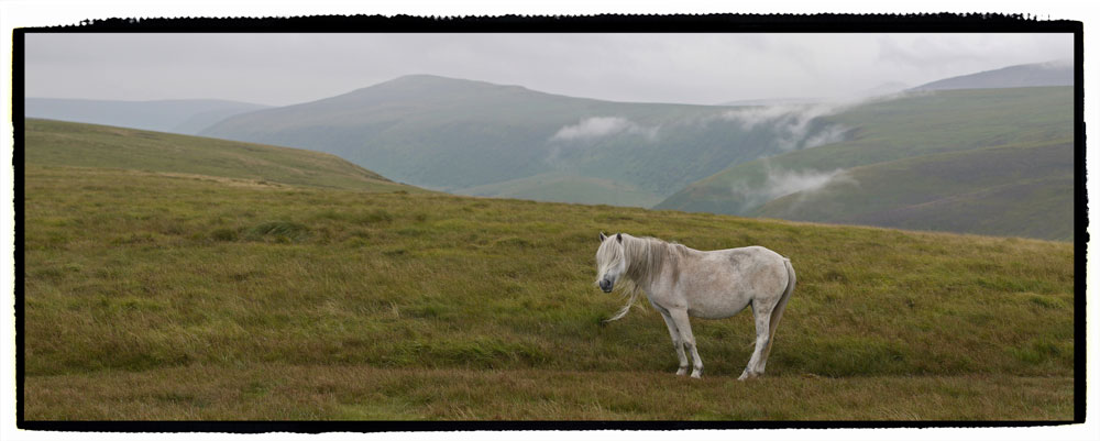 Panoramic Fforde picture