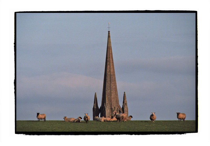 Weobley spire with sheep. Herefordshire, 1987.
Nikon FM, 400mm, Kodak Gold 200.