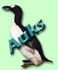 auk